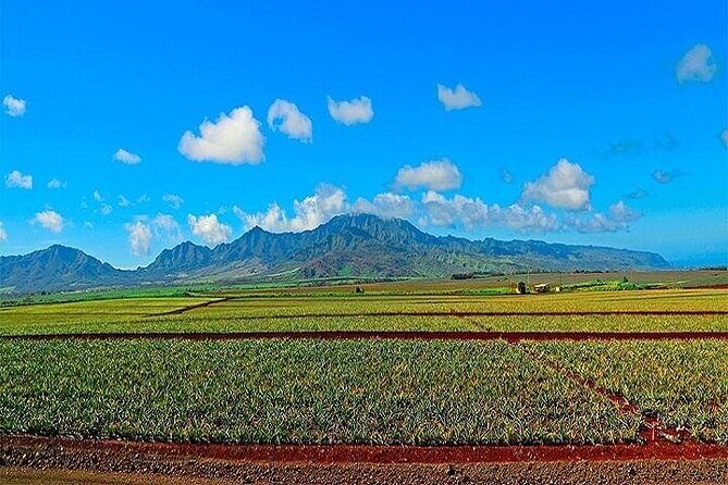Oahu Grand Circle Island Experience Departing from Kauai - Exploring the North Shore and Beyond