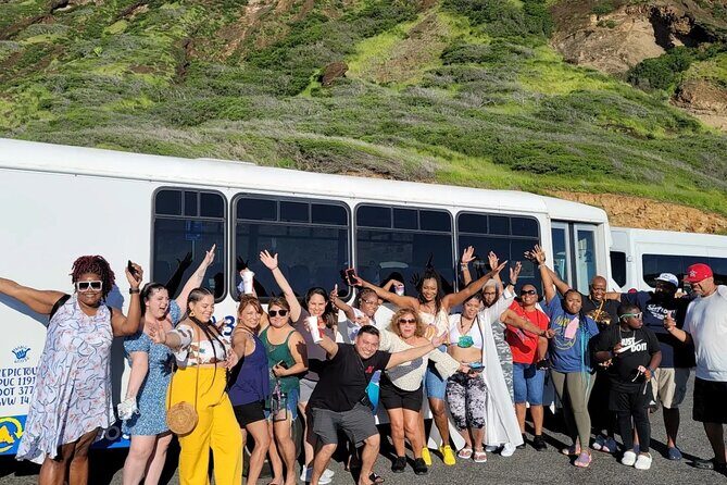 Oahu Guided Circle Island Tour, Swim w/ Turtles, Dole, Blowhole - The Journey Through Oahu: What to Expect
