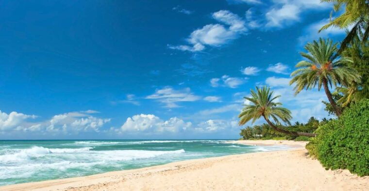 oahu-guided-tour-of-north-shore-and-waimea-botanical-garden