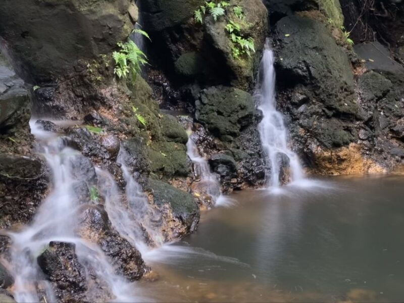 oahu-half-day-sunrise-semi-private-tour-from-waikiki