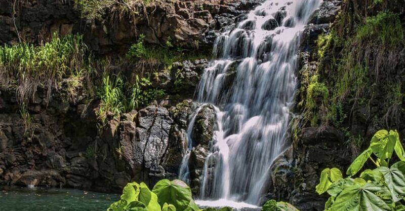 oahu-hidden-gems-waimea-botanical-garden-waterfall-tour