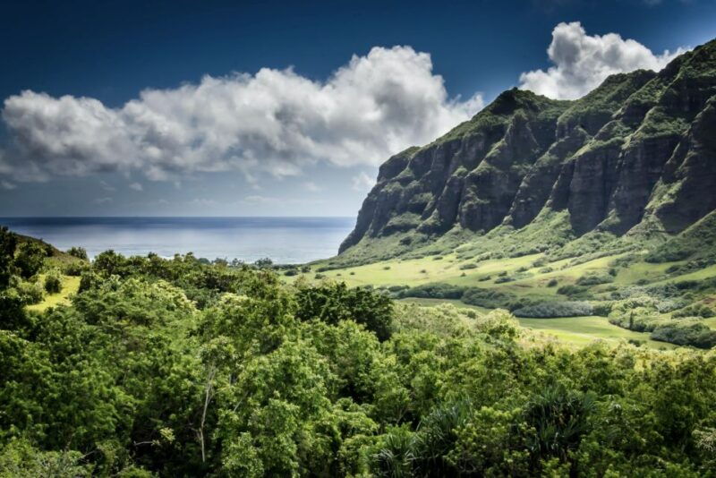 oahu-hidden-gems-waimea-botanical-garden-waterfall-tour