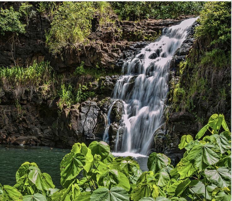 oahu-hidden-gems-waimea-botanical-garden-waterfall-tour