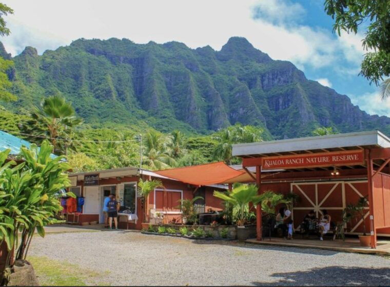 oahu-hidden-gems-waimea-botanical-garden-waterfall-tour