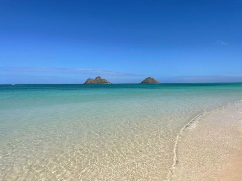 Oahu: Hidden Hawaii Waterfall Hike and Beach Tour - Who This Experience Is Best For