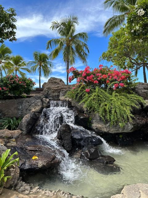 oahu-highlights-of-oahu-small-group-tour