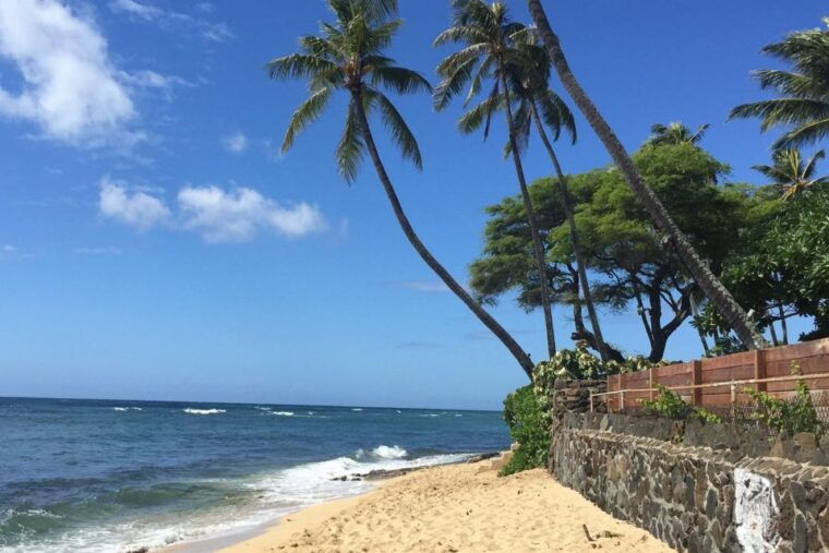 oahu-highlights-of-oahu-small-group-tour