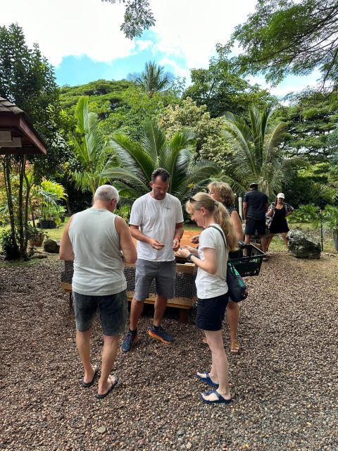 oahu-highlights-of-oahu-small-group-tour