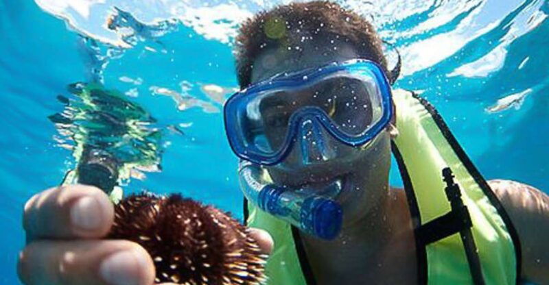 oahu-hilton-hawaiian-village-snorkel-tour