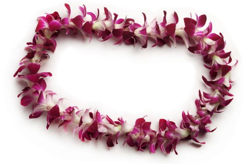 oahu-honolulu-airport-hnl-traditional-lei-greeting