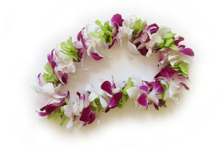 oahu-honolulu-airport-hnl-traditional-lei-greeting