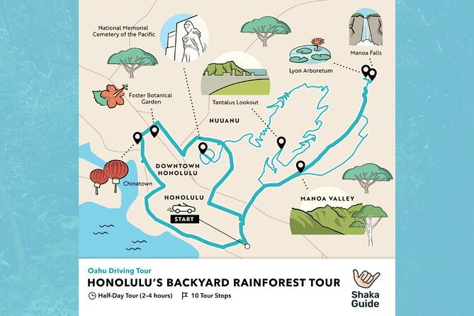 oahu-honolulus-backyard-rainforest-driving-tour