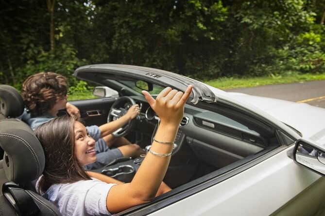 oahu-honolulus-backyard-rainforest-driving-tour