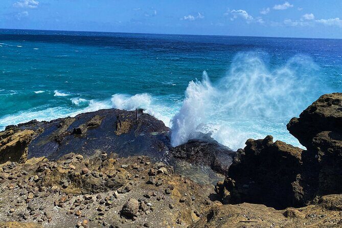 Oahu Island Experience feat the North Shore (Small Group Tour) - Who Is This Tour Best For?