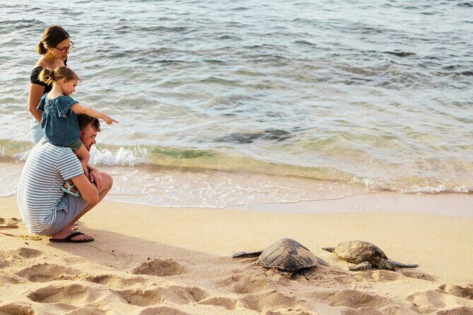 Oahu Island Highlights in Small Group | 30 Spots | ~10 Stops - Final Thoughts