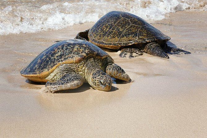Oahu Island Photography Tour - FAQs