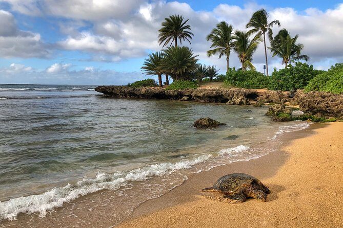 Oahu Island Photography Tour - Final Thoughts