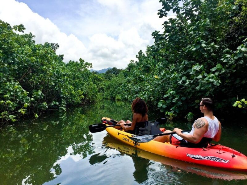 oahu-kahana-rainforest-river-4-hour-kayak-rental