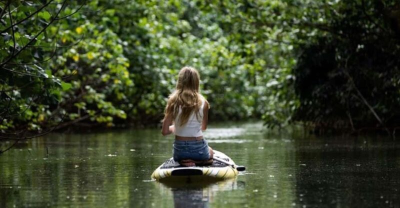 Oahu: Kahana River Stand-Up Paddleboard Rental - Practical details and tips for your trip