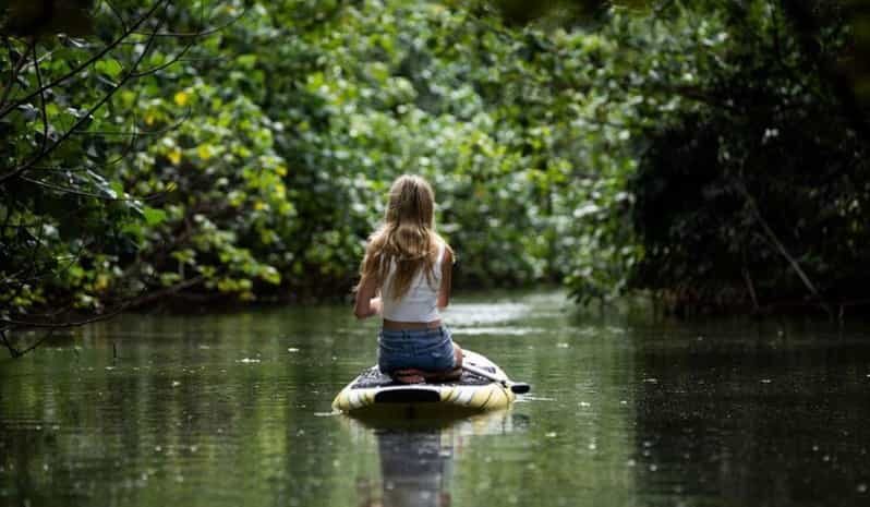 Oahu: Kahana River Stand-Up Paddleboard Rental - Who will love this experience?