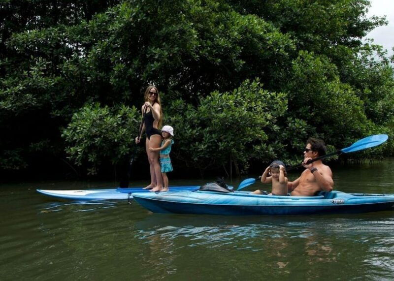 oahu-kahana-river-stand-up-paddleboard-rental