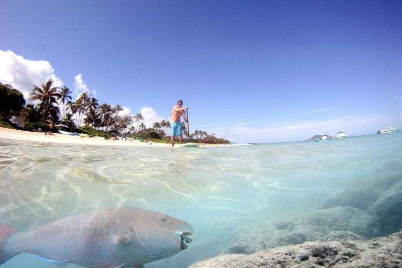 oahu-kailua-stand-up-paddle-board-lesson