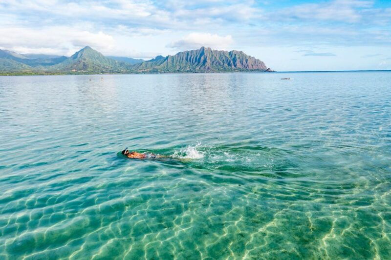 oahu-kaneohe-bay-coral-reef-kayaking-rental