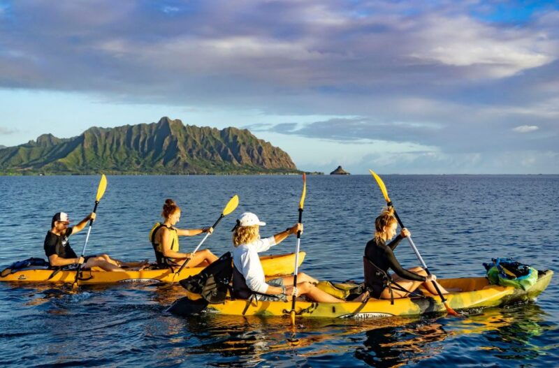 oahu-kaneohe-bay-coral-reef-kayaking-rental
