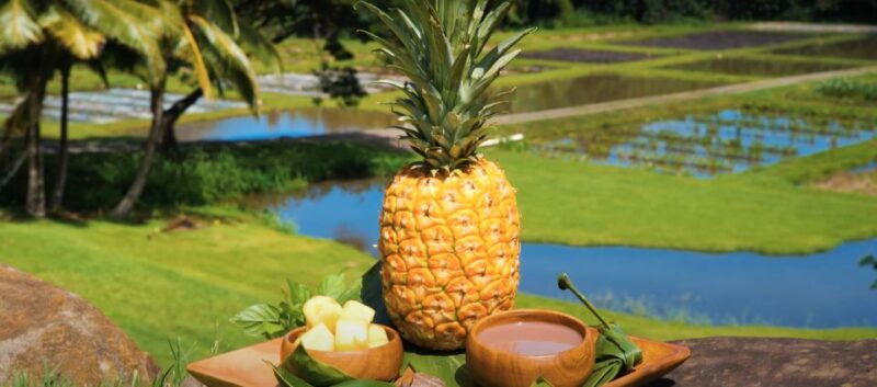 oahu-kualoa-farm-and-secret-island-tour-by-trolley