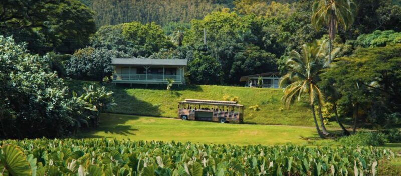 oahu-kualoa-farm-and-secret-island-tour-by-trolley