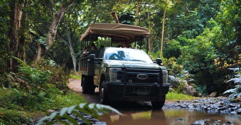 oahu-kualoa-open-air-jungle-expedition-tour