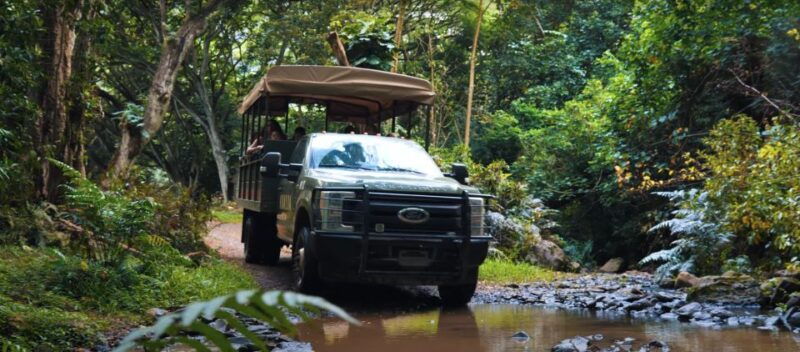 oahu-kualoa-open-air-jungle-expedition-tour
