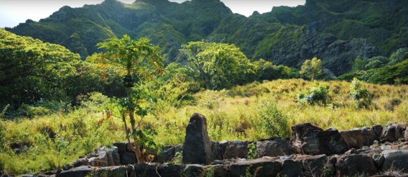 oahu-kualoa-open-air-jungle-expedition-tour