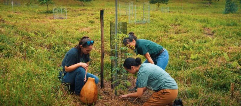 oahu-kualoa-ranch-malama-sustainability-and-gardening-tour