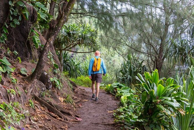 oahu-legendary-north-shore-loop-driving-tour