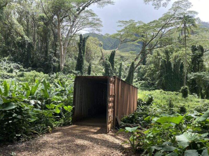 oahu-manoa-falls-trail-hiking-shuttle