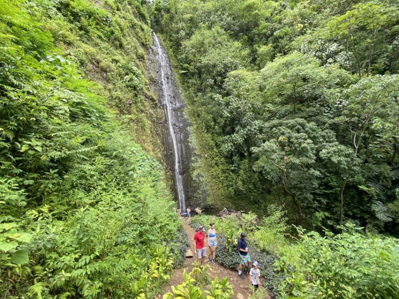 Oahu: Manoa Valley Private Hiking Trip & Waterfall - Discovering Oahu’s Natural Charm