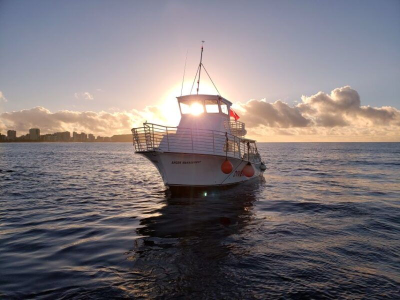 oahu-night-dive-adventure-for-certified-divers