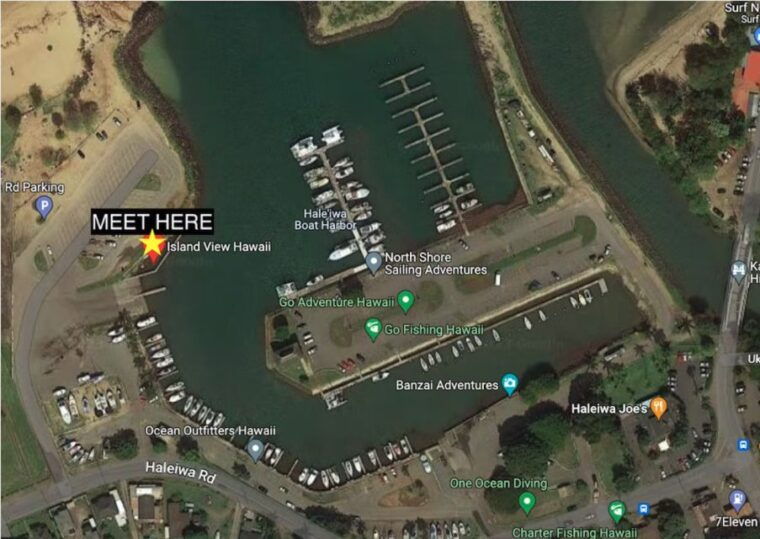 oahu-north-shore-cageless-shark-snorkeling-tour