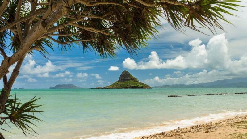 oahu-north-shore-circle-island-small-group-tour