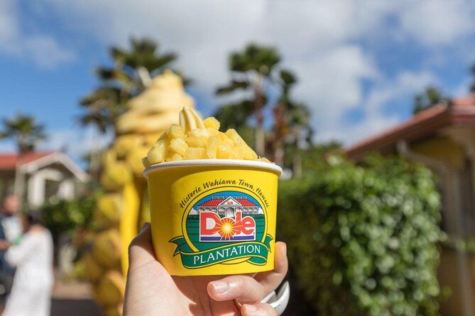 oahu-north-shore-dole-plantation-island-discover-tour
