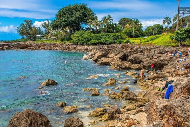 oahu-north-shore-dole-plantation-island-discover-tour