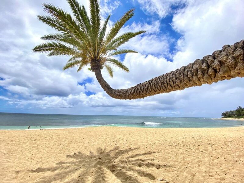 oahu-north-shore-experience-and-dole-plantation