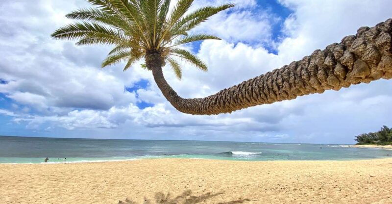 oahu-north-shore-experience-and-dole-plantation