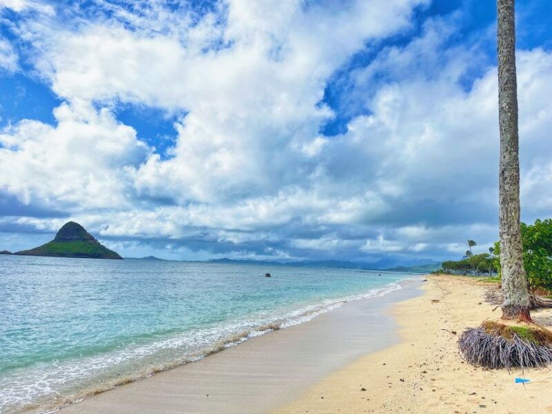 oahu-north-shore-experience-and-dole-plantation