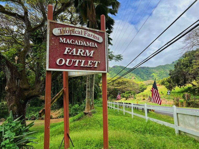 oahu-north-shore-experience-and-dole-plantation