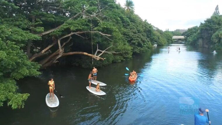 oahu-north-shore-haleiwa-paddleboard-river-adventure