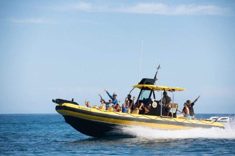 Oahu: North Shore Haleiwa: Private Boat Charter - Exploring the Oahu North Shore Haleiwa: Private Boat Charter