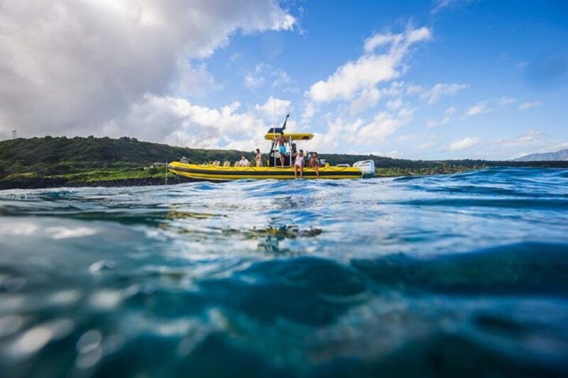 oahu-north-shore-marine-life-tour-from-haleiwa