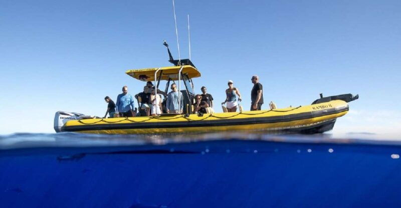 oahu-north-shore-marine-life-tour-from-haleiwa
